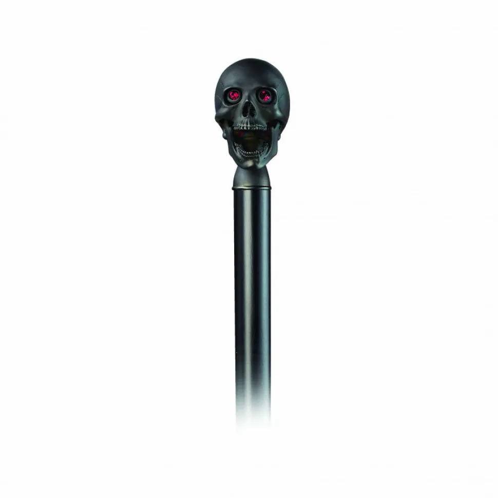 Black Walking Stick with Matte Black Skull Head