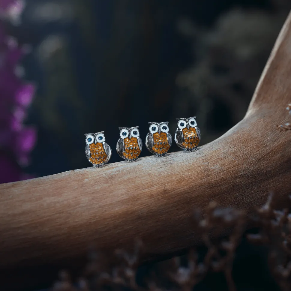 Sterling Silver Brown Owl Enamel Dress Stud Set