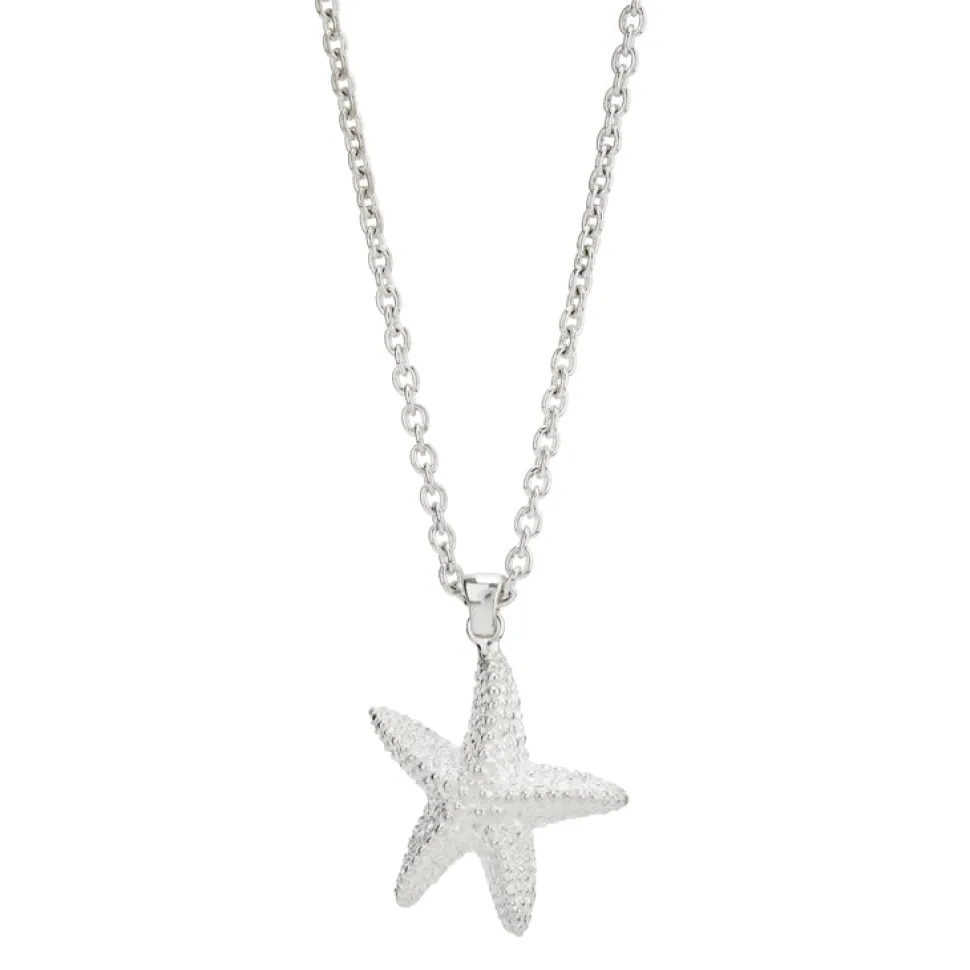 Sterling Silver Starfish Pendant and Chain